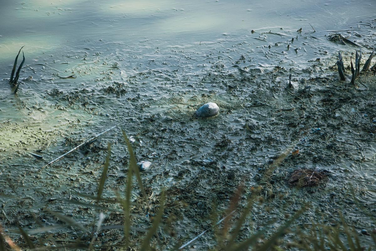 Рискнете поплавать? Рискнете поплавать?