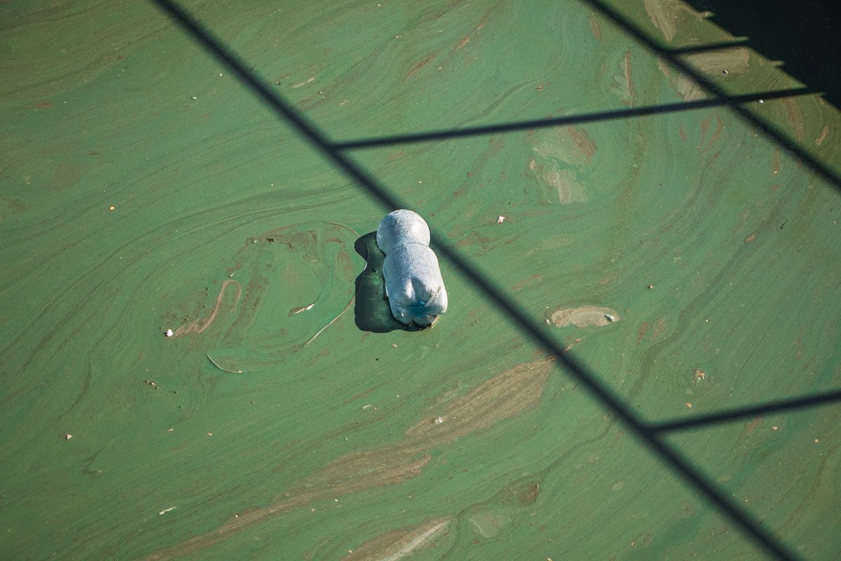 Кто-то краску разлил Кто-то краску разлил