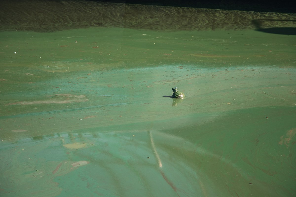 Неформальный якорь Неформальный якорь