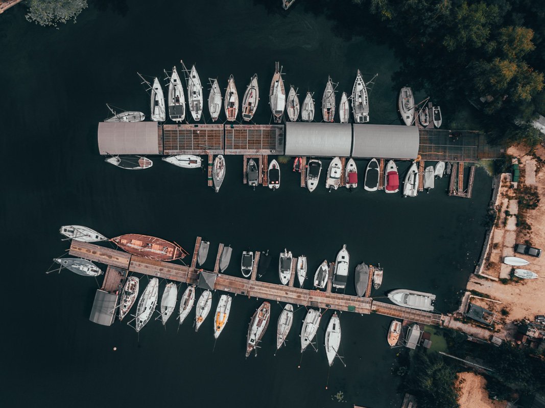 Видите на картинке зубастого крокодила? Видите на картинке зубастого крокодила?