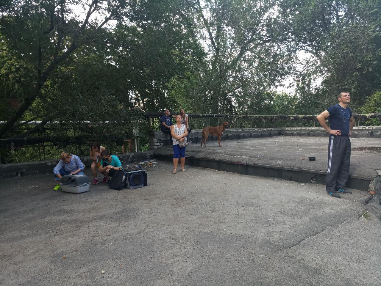 Уходя из задымленного дома многие люди забирали документы и питомцев Уходя из задымленного дома многие люди забирали документы и питомцев