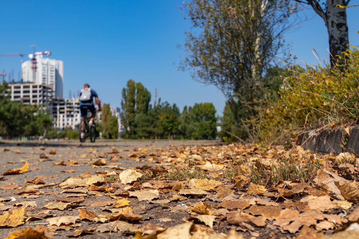Осень приходит постепенно