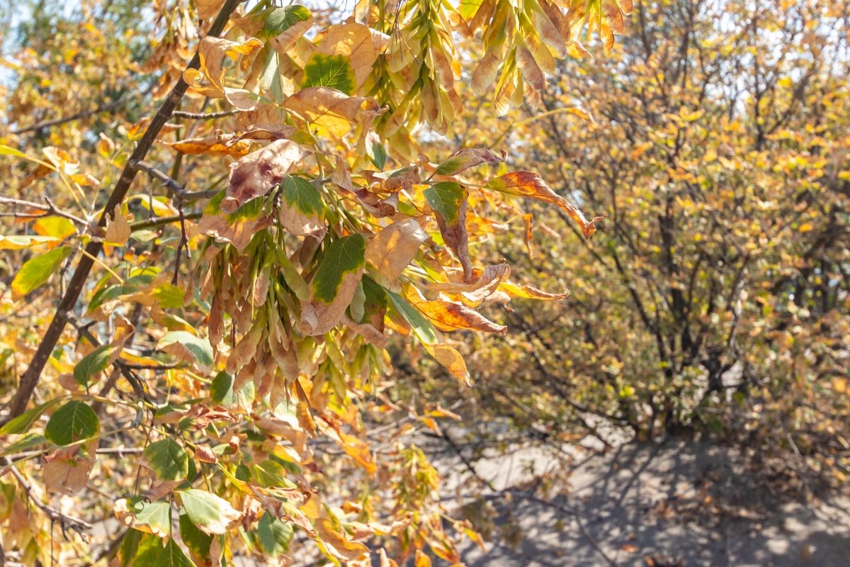 Впереди долгие осенние вечера
