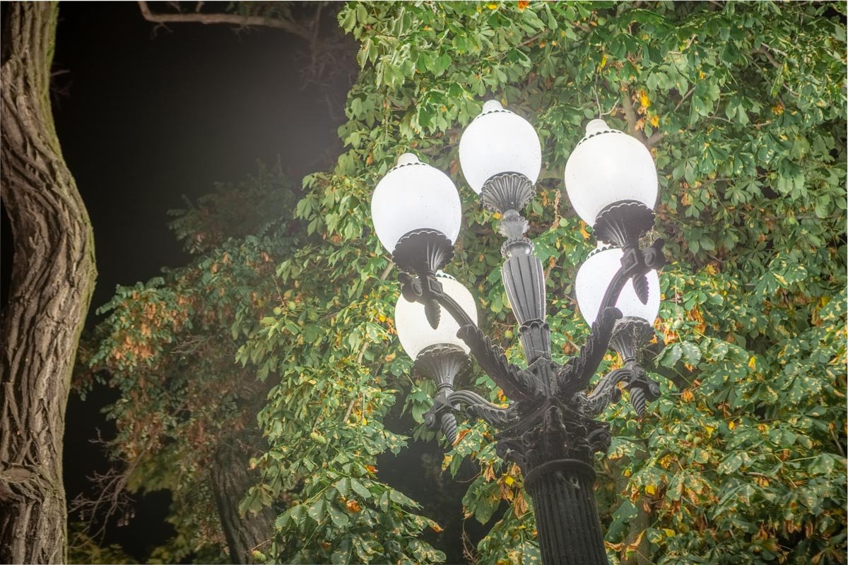 Чего только стоят эти фонарные столбы в парке