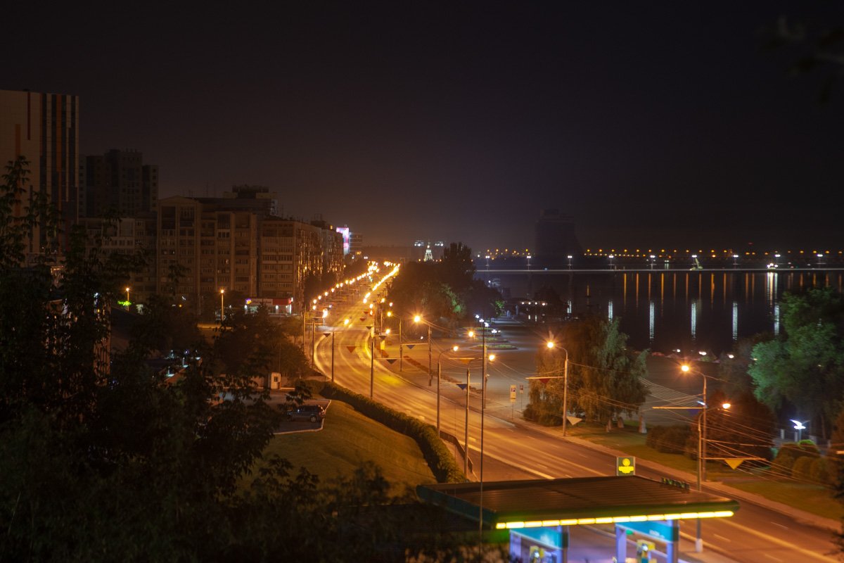 Этот вид знает каждый горожанин