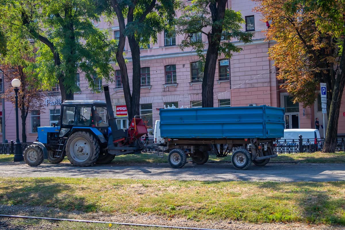Проходит омолаживание деревьев