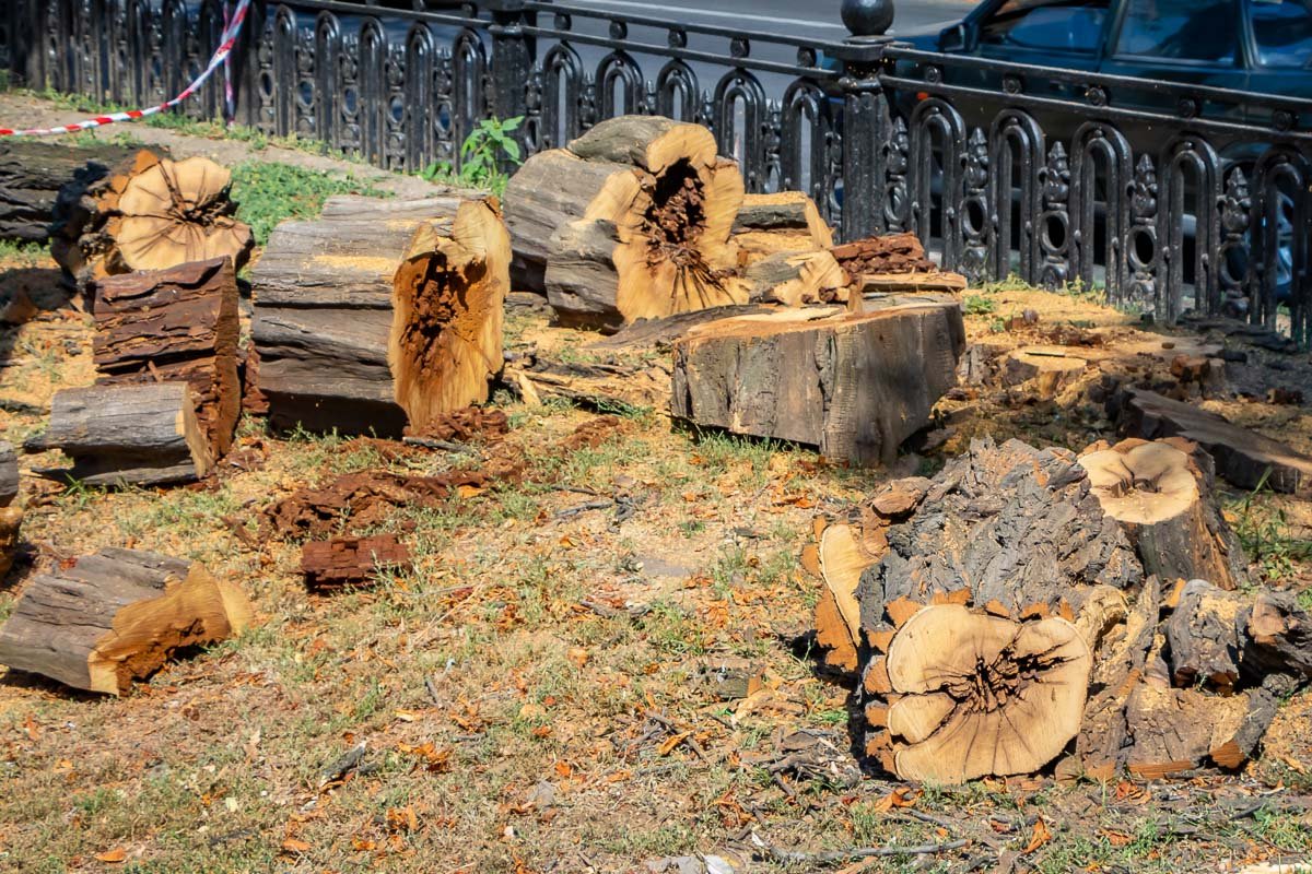 Работа кипит