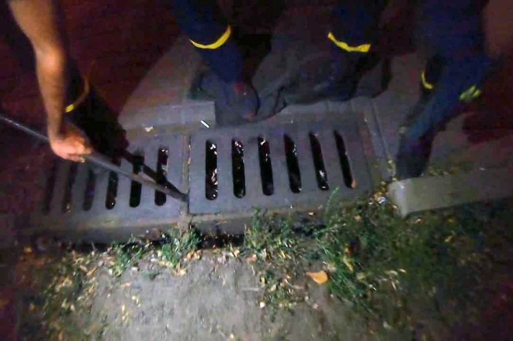 В Днепре спасли котенка, который попал в канализацию 1