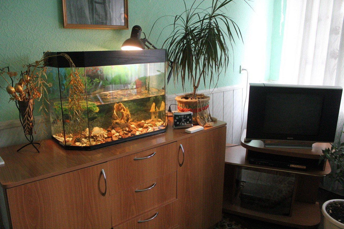 Улучшенный номер