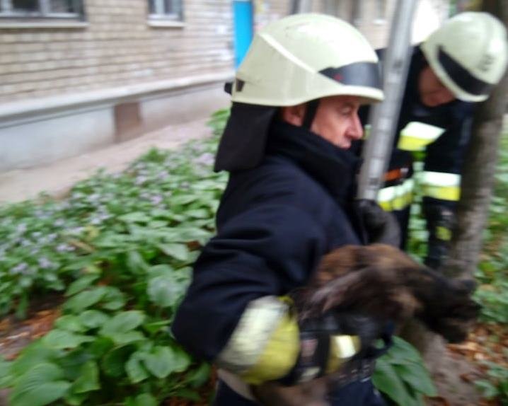 Малыш был сильно напуган Малыш был сильно напуган