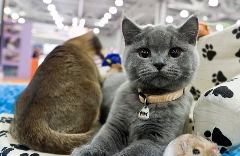 ТОП мероприятий, куда стоит пойти на выходных в Днепре 3