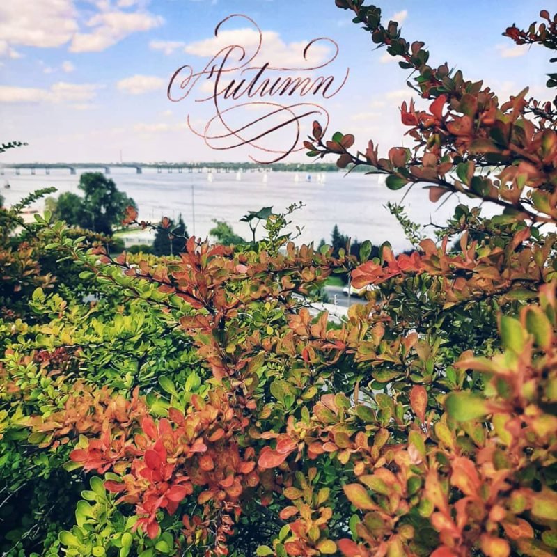 @alenka.kozyreva @alenka.kozyreva