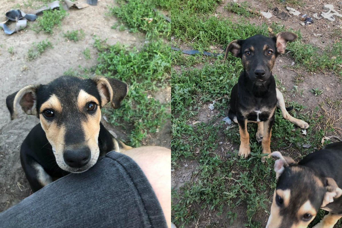 Две замечательные девочки готовы стать вашими лучшими подругами