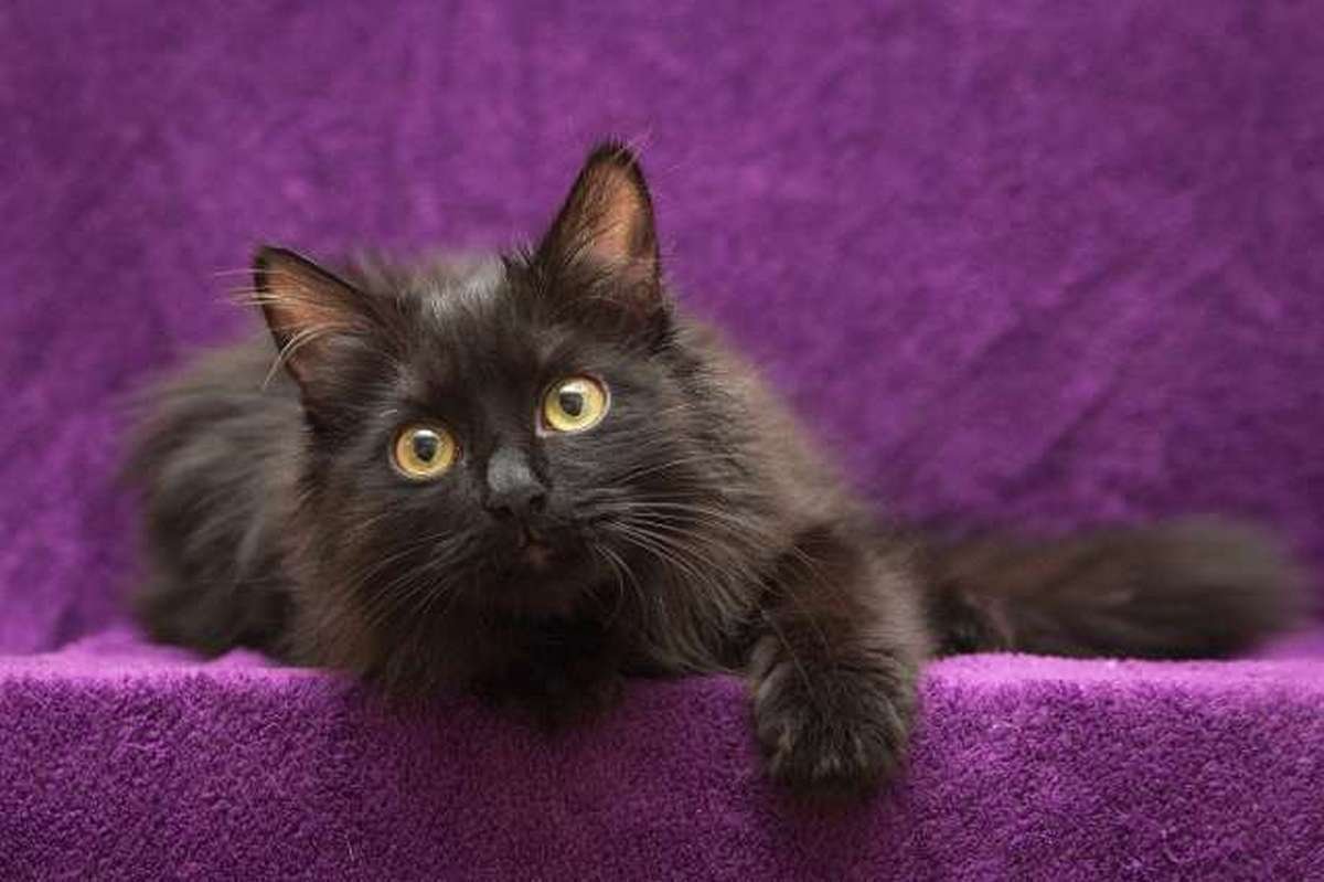 Смотрит прямо в душу