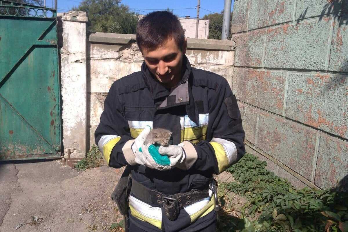 Владельцы не на шутку испугались за питомца Владельцы не на шутку испугались за питомца