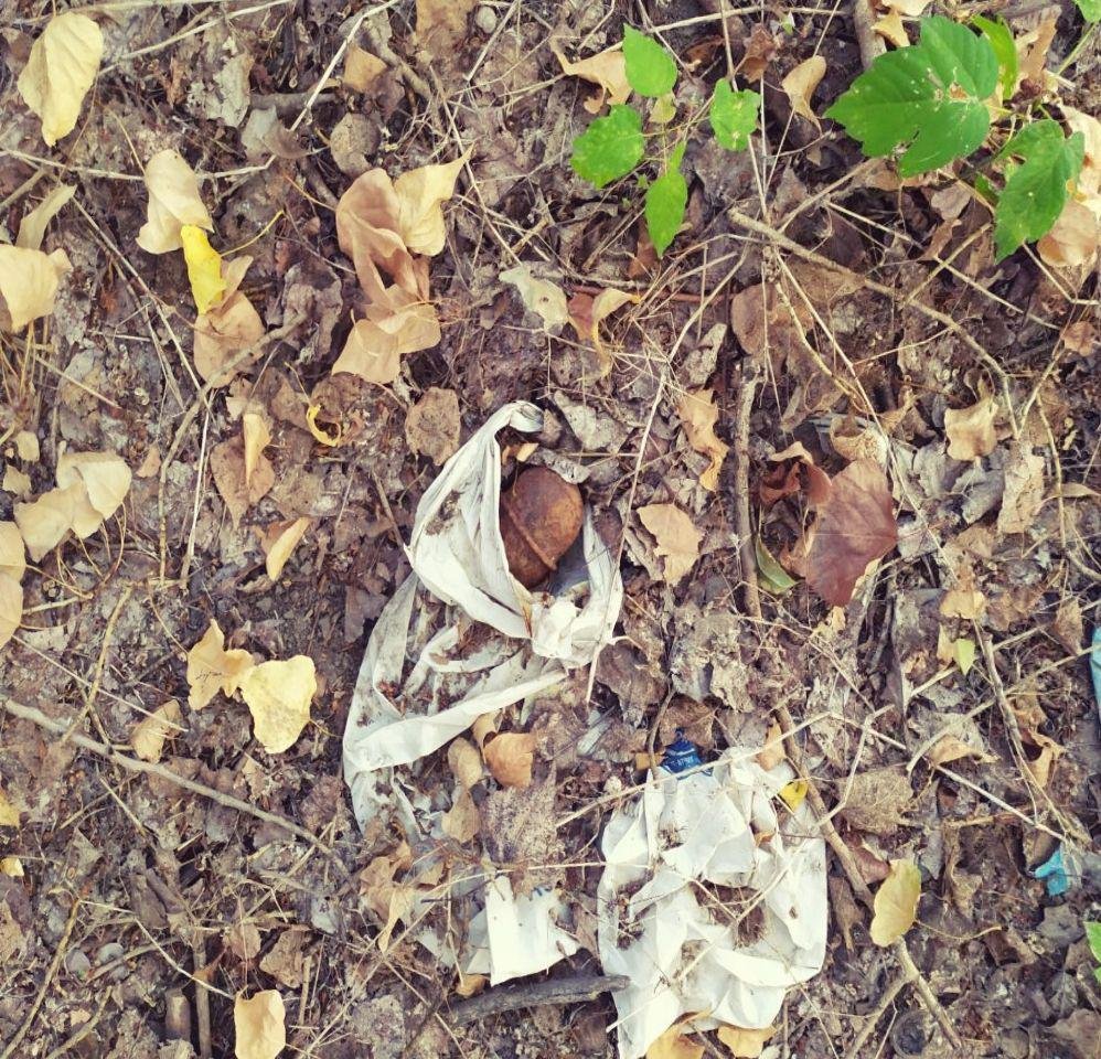 Мужчина пошел по нужде, а нашел гранату Мужчина пошел по нужде, а нашел гранату