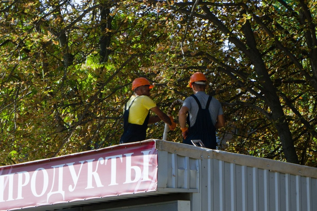 У владельцев были задолженности за аренду земли У владельцев были задолженности за аренду земли