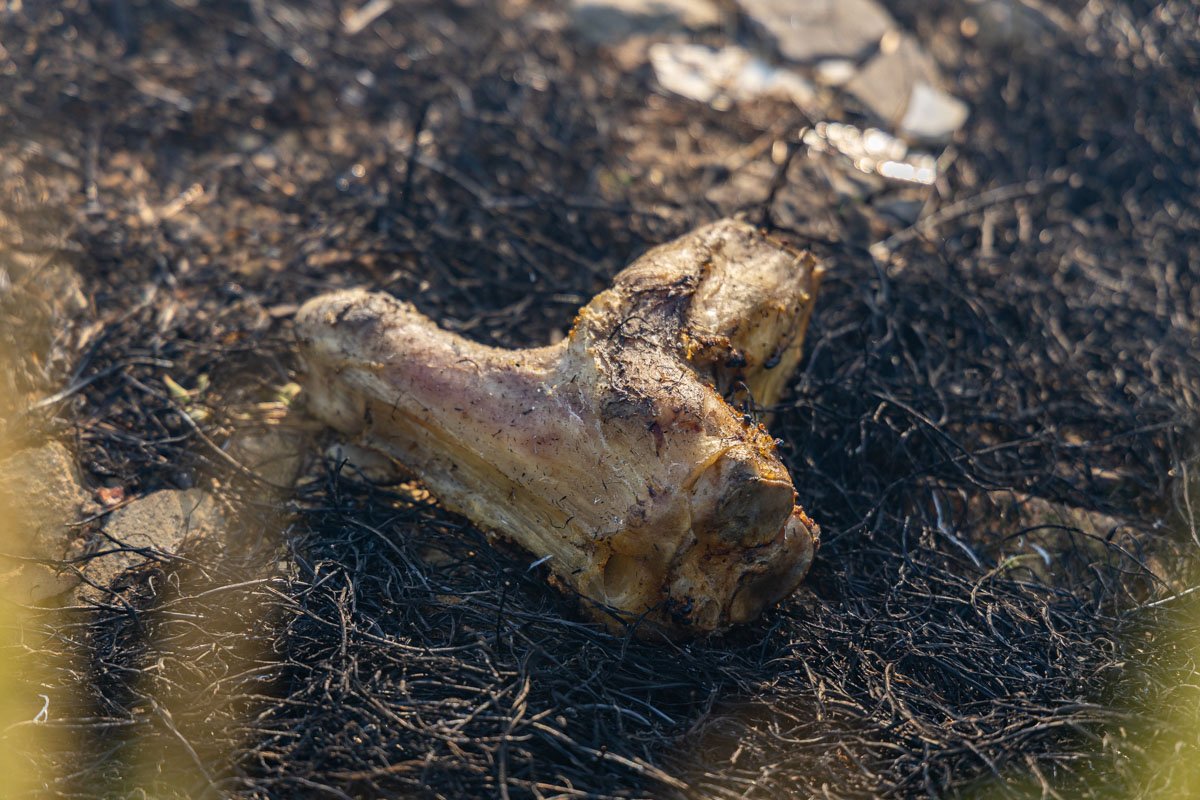 На месте происшествия чувствуется едкий запах дыма На месте происшествия чувствуется едкий запах дыма