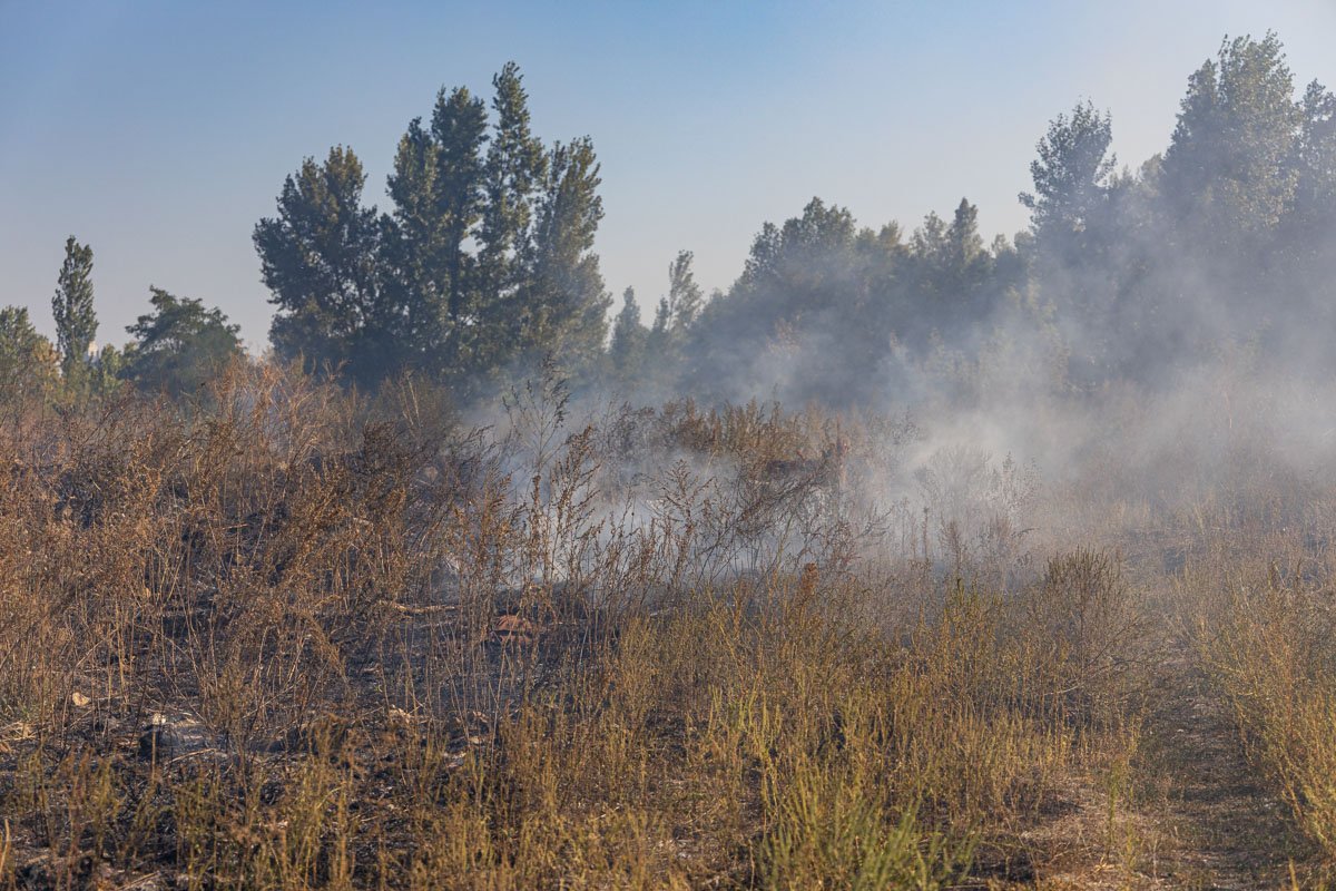 Обошлось без пострадавших Обошлось без пострадавших