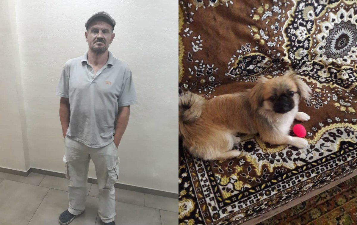 В Днепре мужчина напал на прохожую и украл ее пекинеса 1