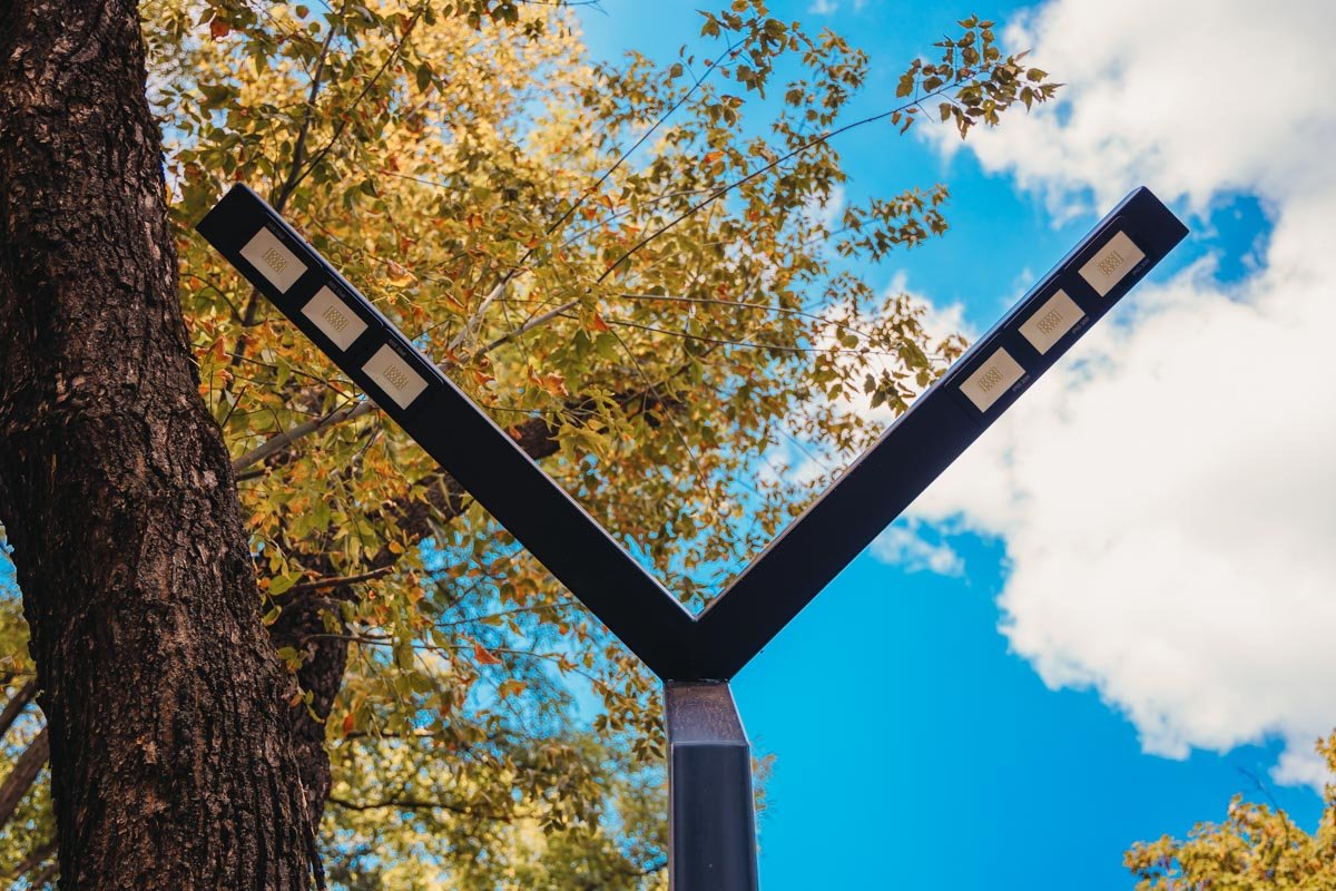 Вдоль дорожек наконец-то появились яркие фонари