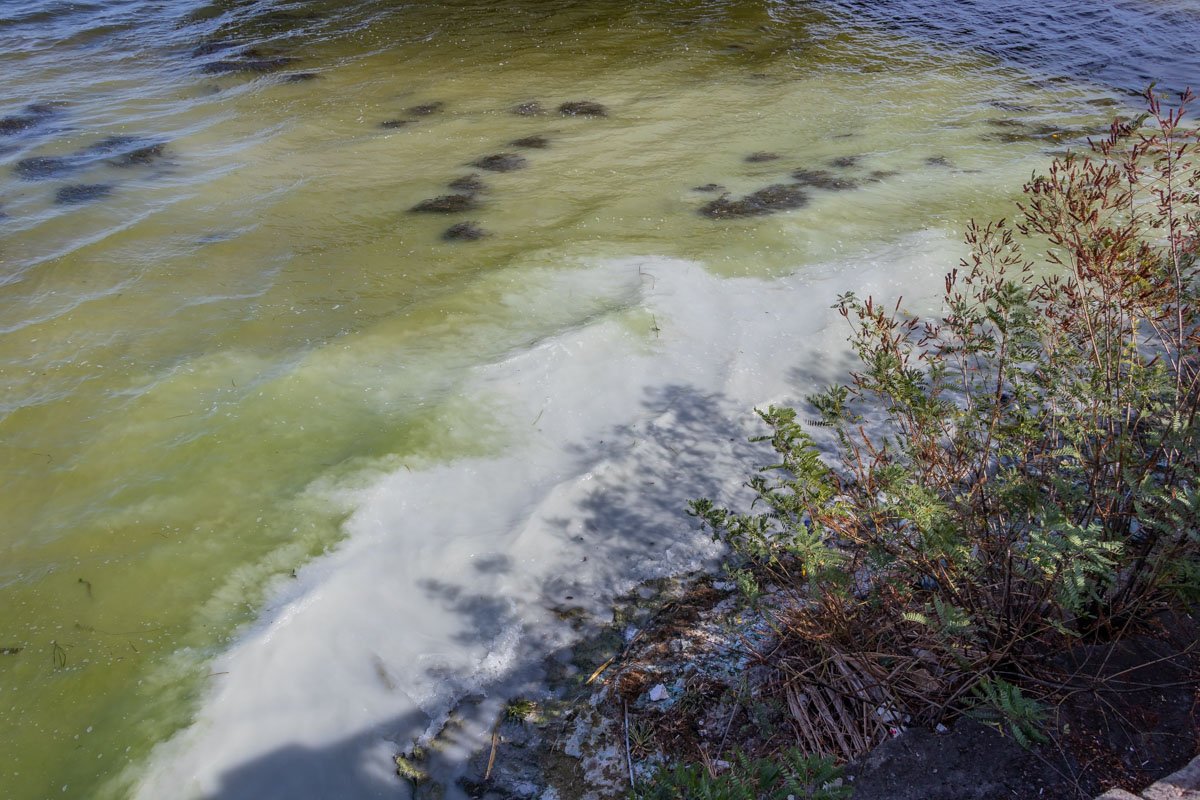 Наверное, люди, которые это делают, не купаются в Днепре Наверное, люди, которые это делают, не купаются в Днепре