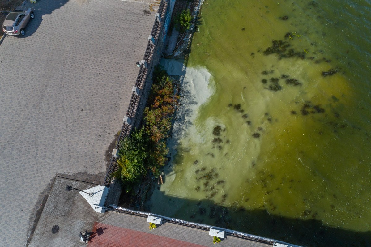 Не пакостите там, где живете, ну! Не пакостите там, где живете, ну!