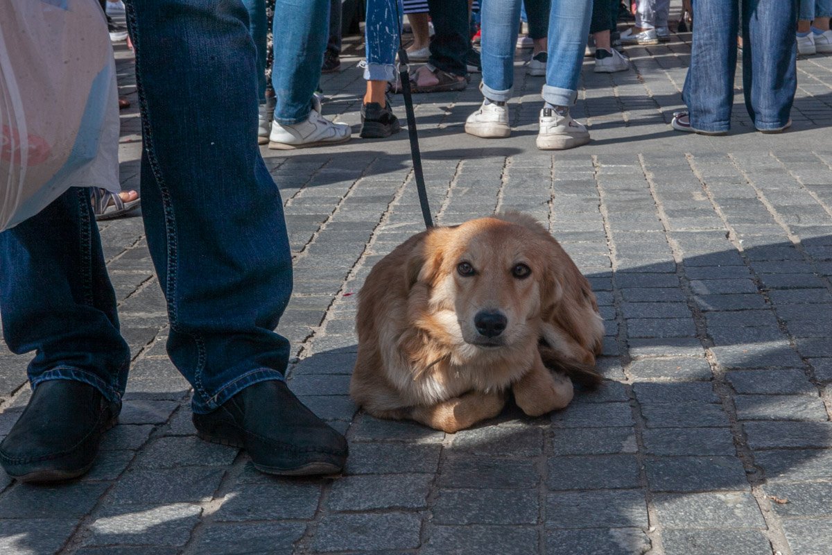 И немного полежать за права