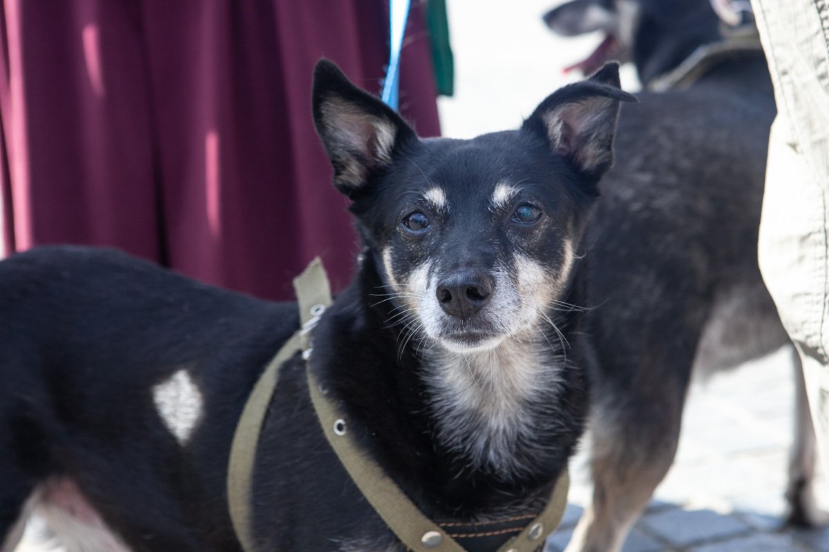 Как его можно обидеть?