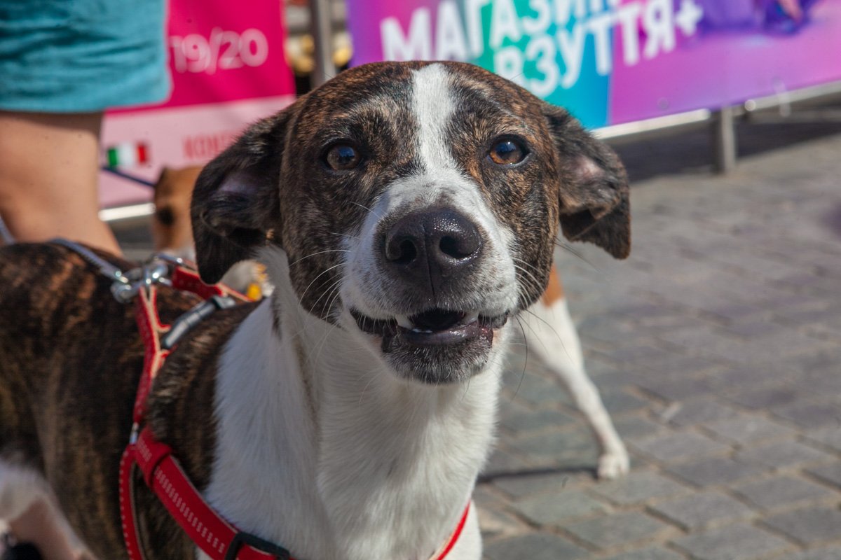 Рад видеть тебя на марше