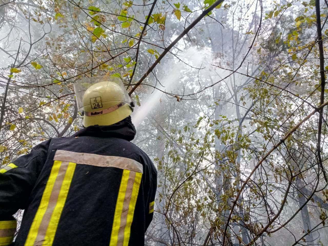 Ликвидация продолжается Ликвидация продолжается