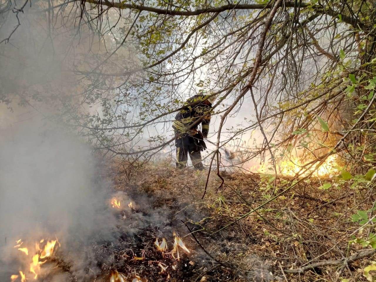 Загорелась подстилка Загорелась подстилка