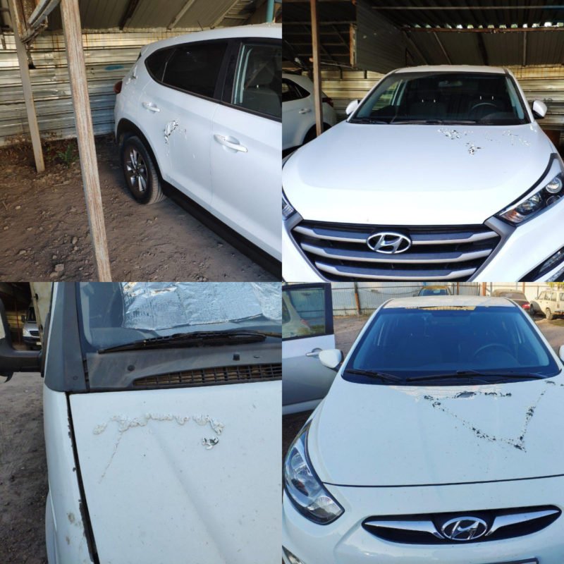 Кто-то облил кислотой Кто-то облил кислотой