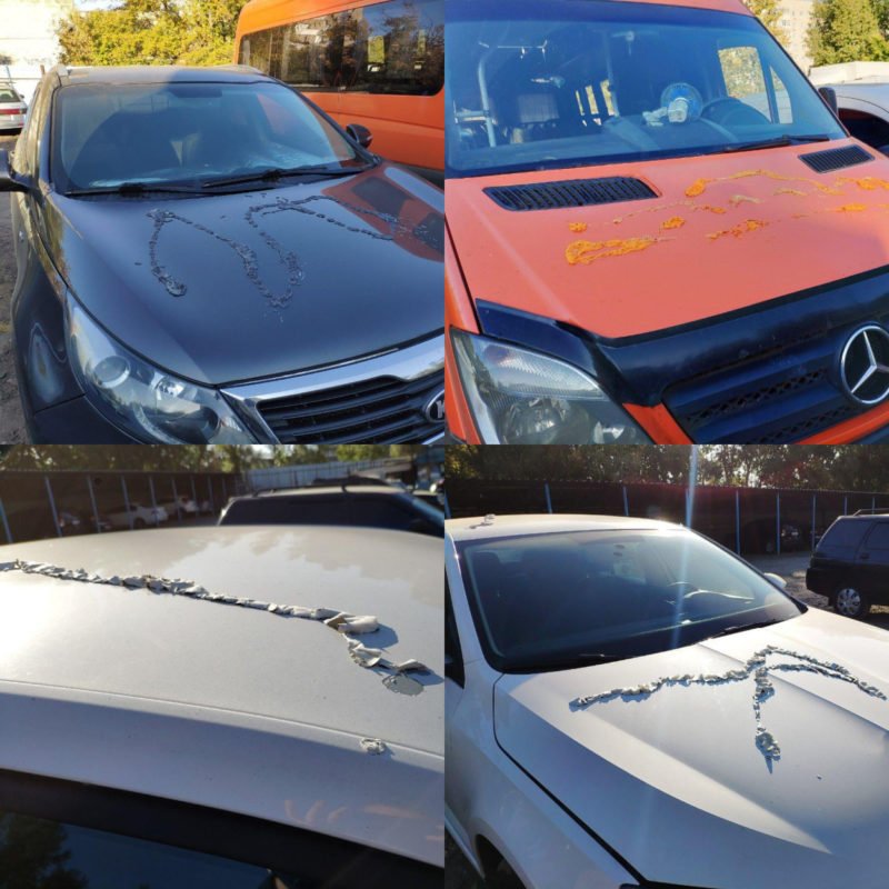 Детали выяснят правоохранители Детали выяснят правоохранители