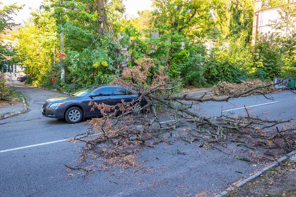 На место вызвали спасателей и полицию На место вызвали спасателей и полицию