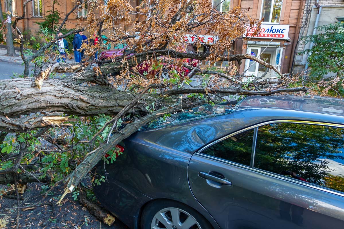 Никто не пострадал Никто не пострадал