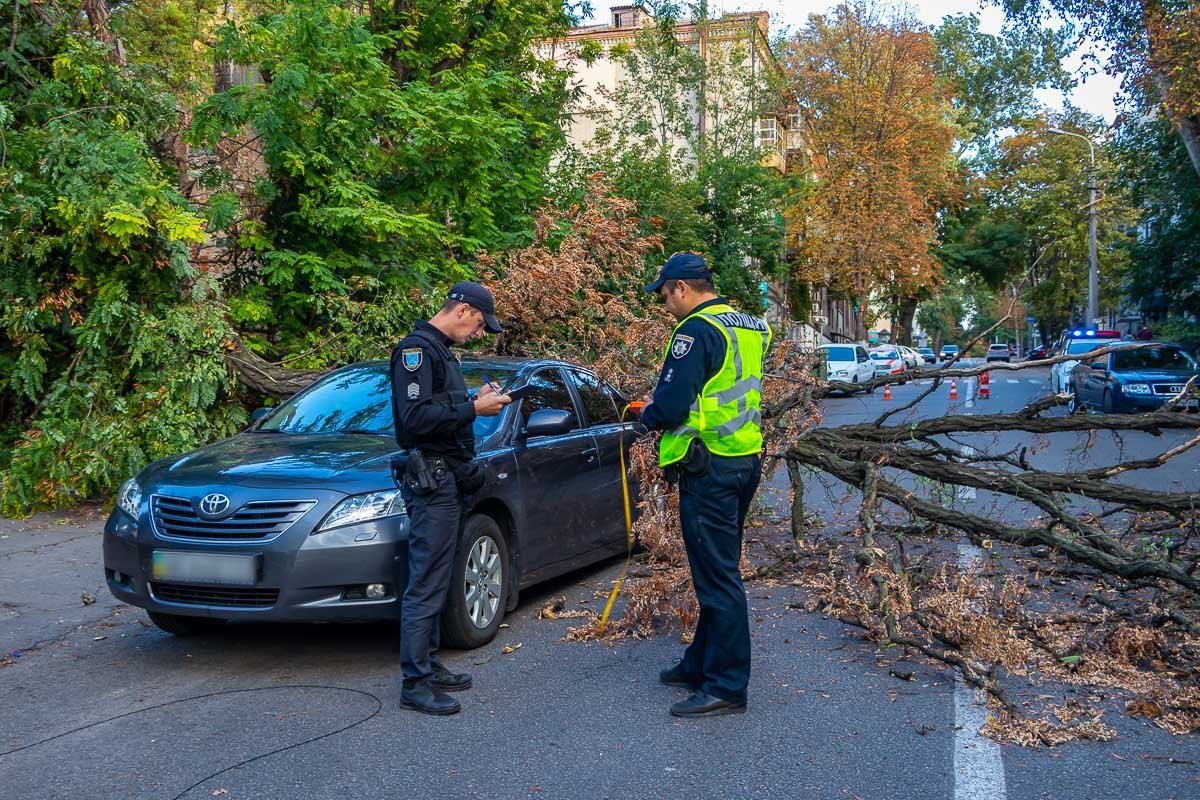 Детали выясняются Детали выясняются