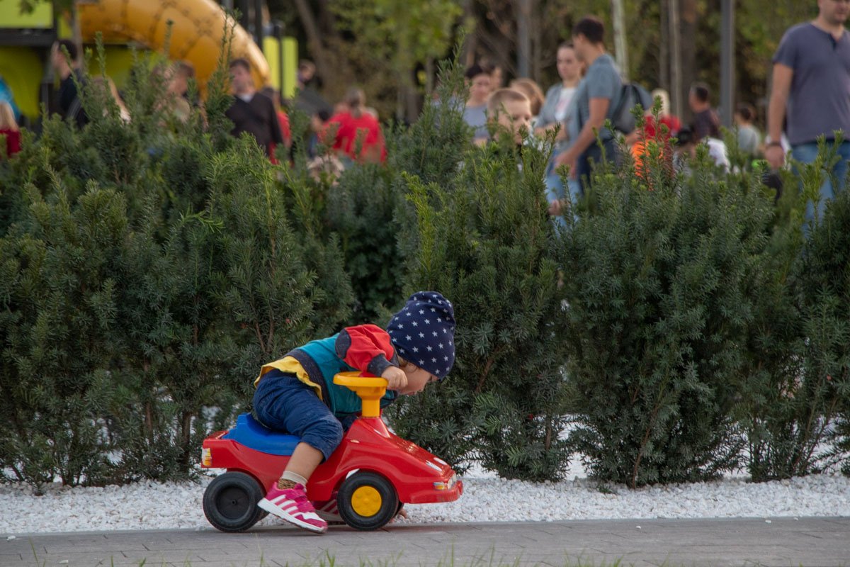 Люди переживают из-за кустарников Люди переживают из-за кустарников