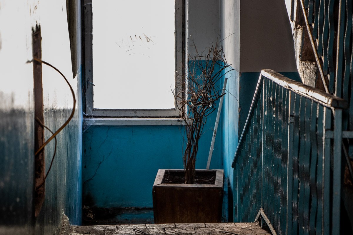 Он пытался вырасти