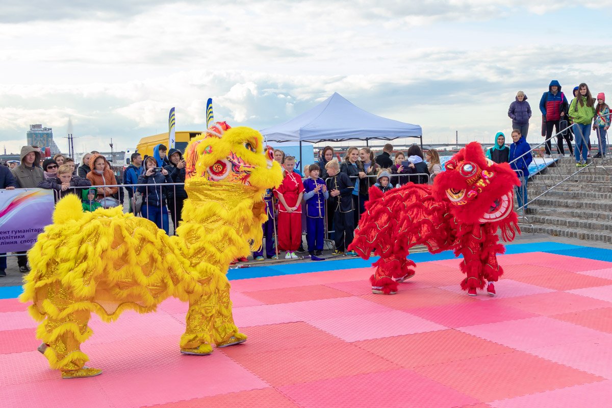 Танец китайских мини-драконов, которых почему-то представили, как львов