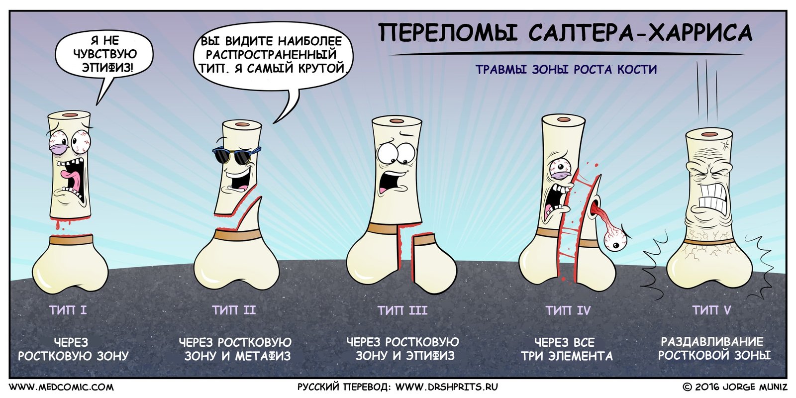 Окей, Информатор: развенчиваем мифы о переломах и вывихах 2