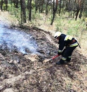 В Днепре несколько часов горел лес В Днепре несколько часов горел лес