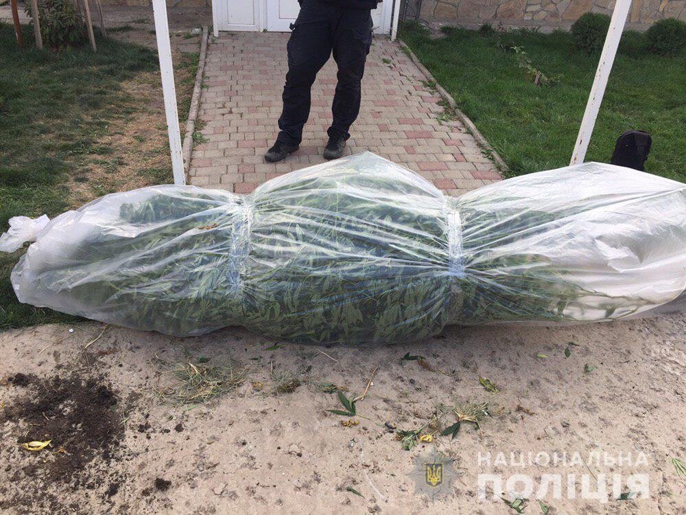 Из дома правоохранители изъяли уже высушенную и измельченное вещество