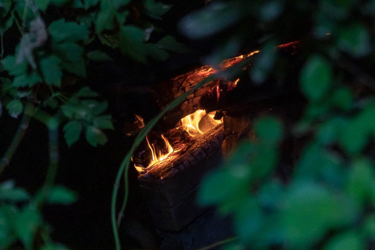 Возле горящего здания растет дерево