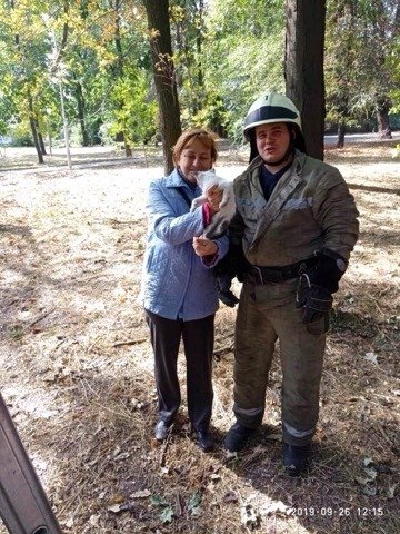 В Днепре котик застрял на высоте 12 метров и звал на помощь В Днепре котик застрял на высоте 12 метров и звал на помощь
