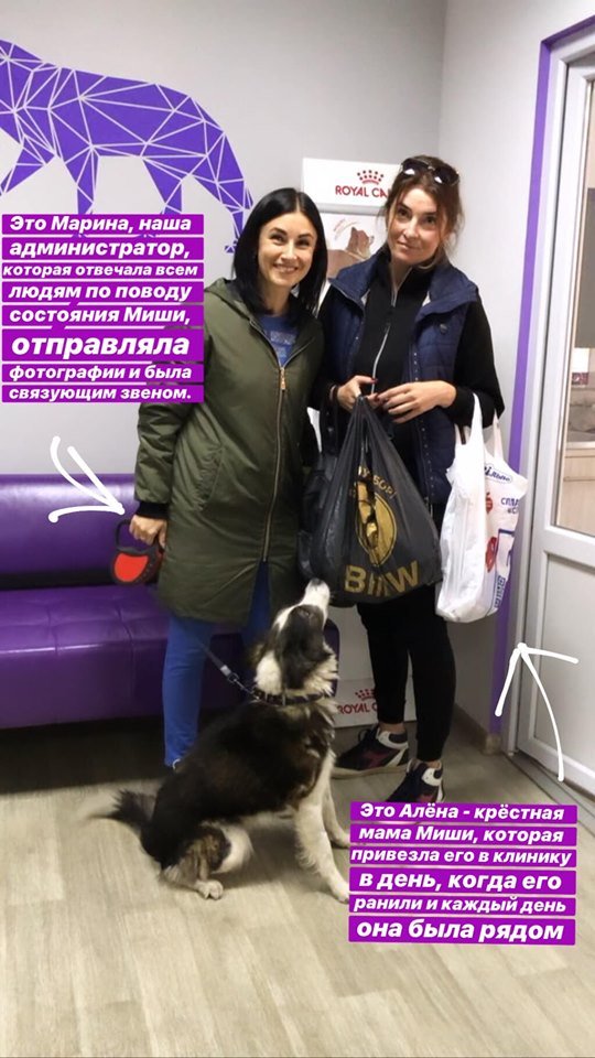 Песель счастлив Песель счастлив