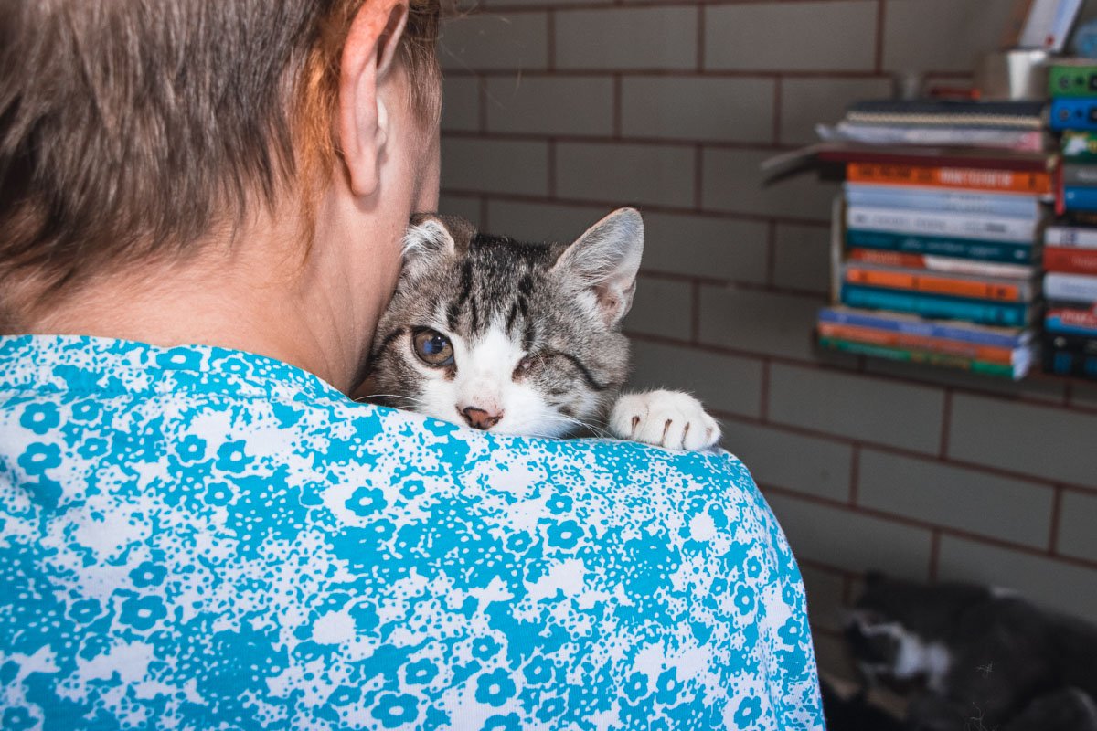 Кицмараули