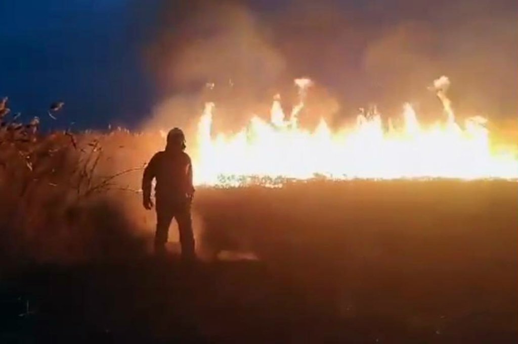 На момент прибытия пожарных к месту происшествия, площадь возгорания уже составляла около 3 гектара На момент прибытия пожарных к месту происшествия, площадь возгорания уже составляла около 3 гектара