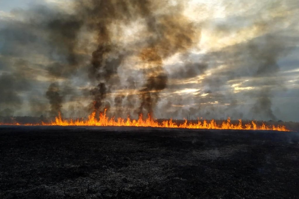 К тушению огня привлечены 10 человек личного состава и 2 единицы пожарно-спасательной техники К тушению огня привлечены 10 человек личного состава и 2 единицы пожарно-спасательной техники