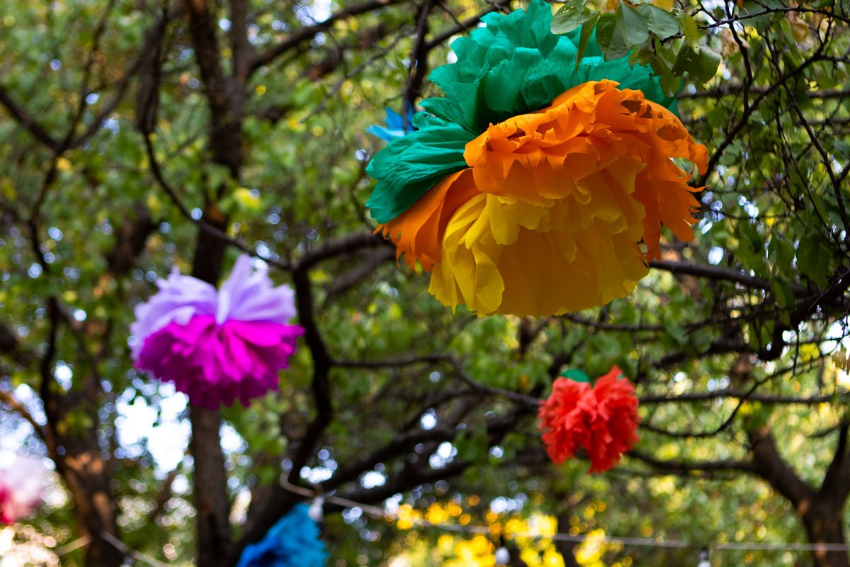 Ничего необычного. Просто цветочки Ничего необычного. Просто цветочки